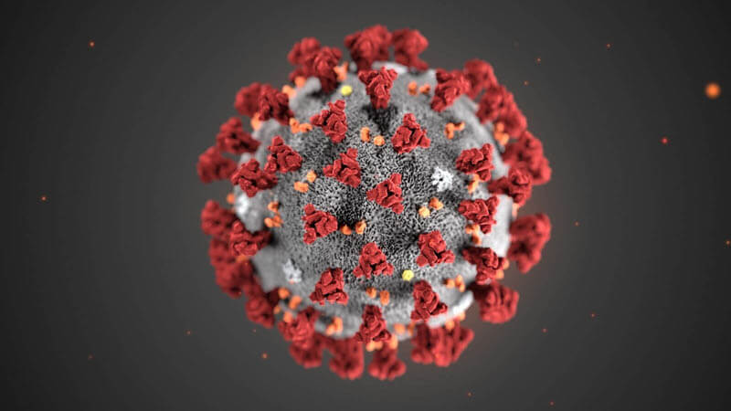 corona virus Source:www.spiegel.de