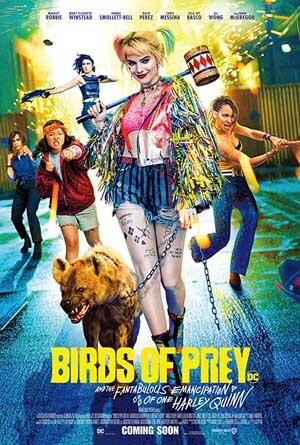Birds of Prey Poster