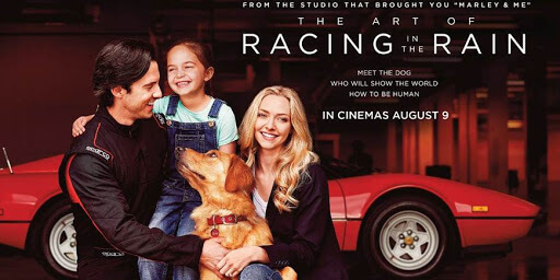 The Art of Racing in the Rain Movie Reviews and Ratings